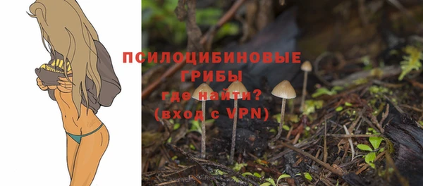 ПСИЛОЦИБИНОВЫЕ ГРИБЫ Семёнов