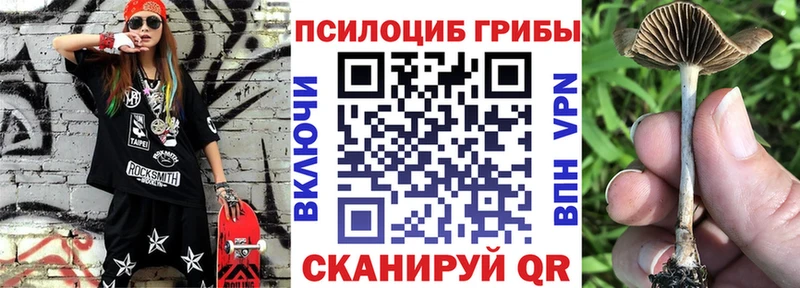 Галлюциногенные грибы мухоморы  дарнет шоп  Советск 