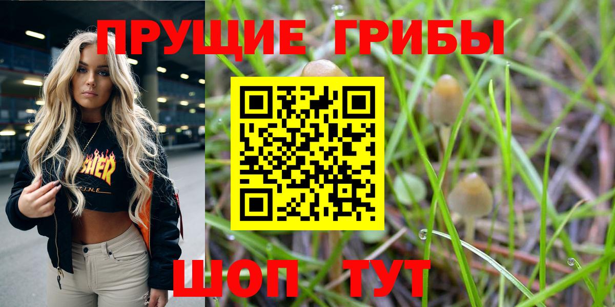 Советск  Псилоцибиновые грибы Psilocybine cubensis  Вход с VPN 